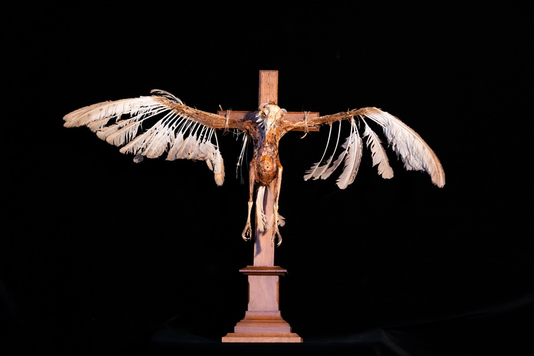 Jacob 6