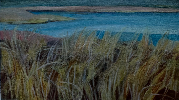 Eiland (zomer)